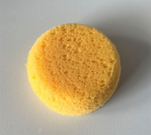 Sponge Small
