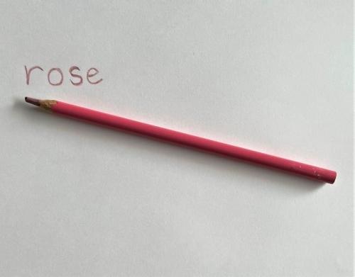 Underglaze pencil Rose